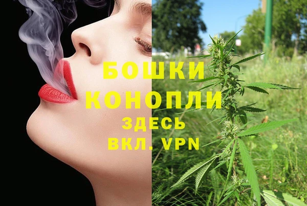 трава Беломорск