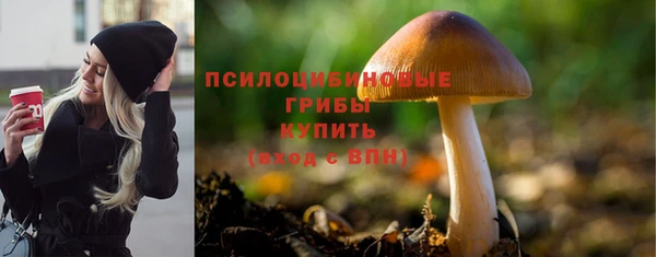 соль ск Белоозёрский