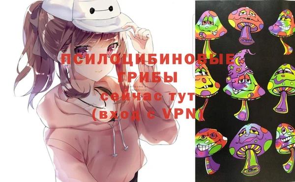 соль ск Белоозёрский